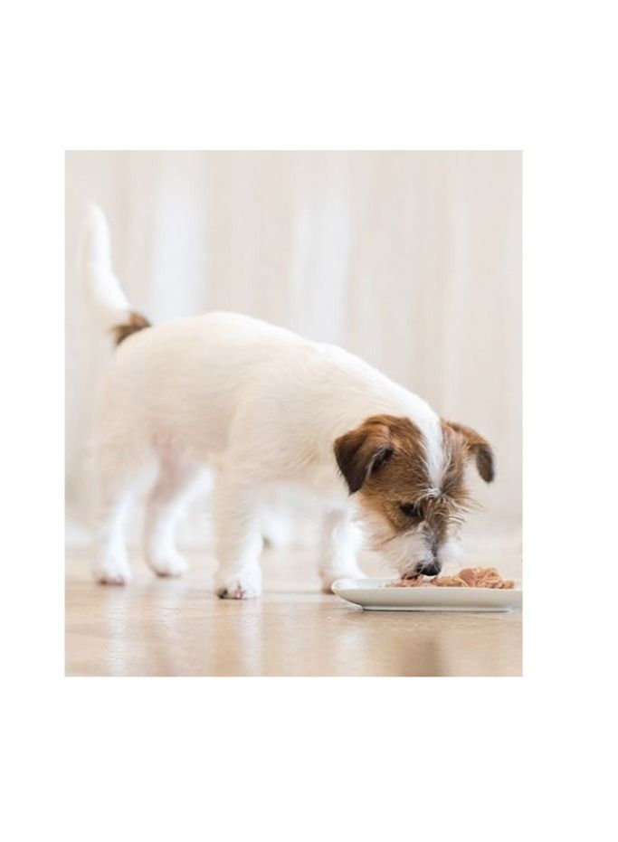 Chicken Fillets With Beef Dog Wet Food