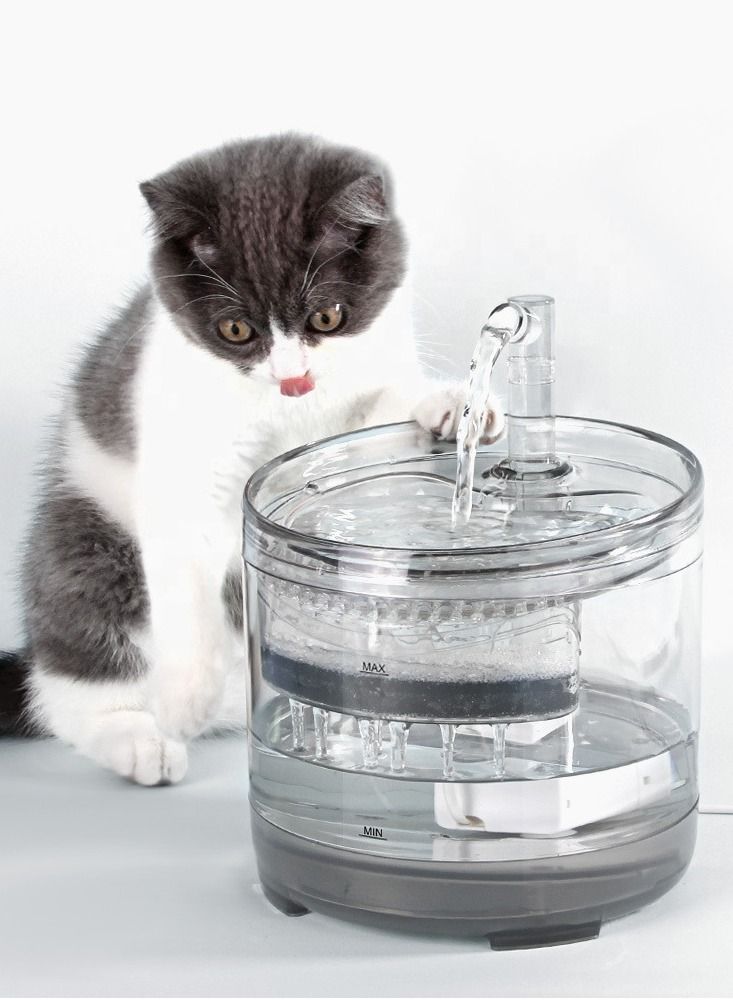 Transparent Automatic Cat Water Fountain - Pet Dog Water Fountain Full Kit With Sensor.Big 1.8L Tank & 200ml Bowl Capacity & 3 Flow Faucet modes Healthy & Hygienic Super Quiet for Small Cats & Dogs.