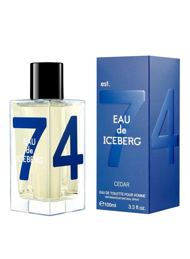 Eau De Iceberg Cedar Pour Homme EDT 100ml