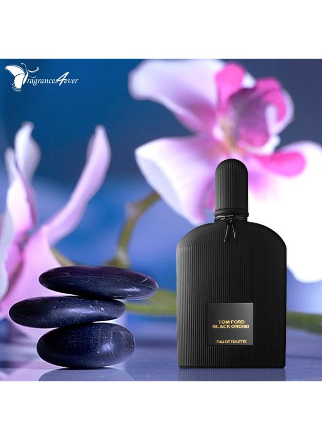 Black Orchid EDT 50ml