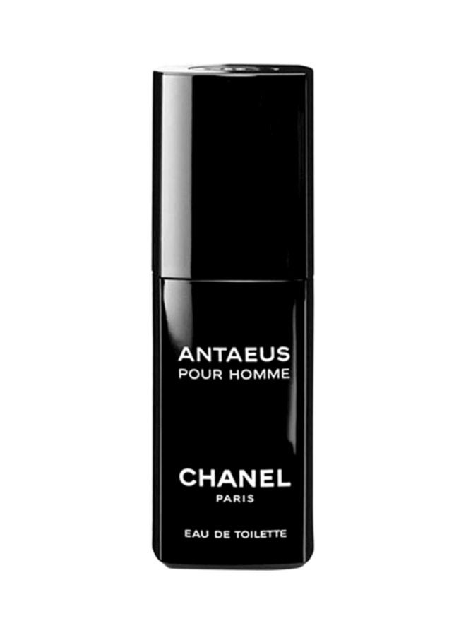 Antaeus Pour Homme EDT 100ml