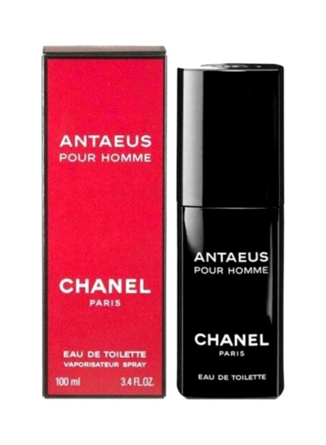 Antaeus Pour Homme EDT 100ml