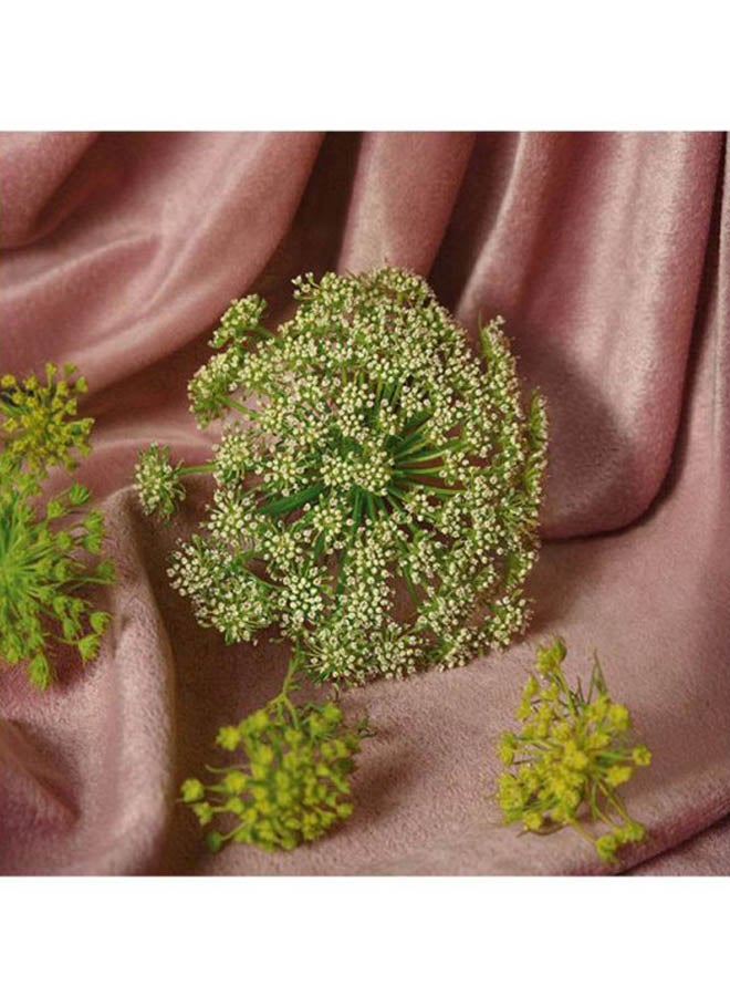 Bloom Aqua Di Fiori EDT 50ml