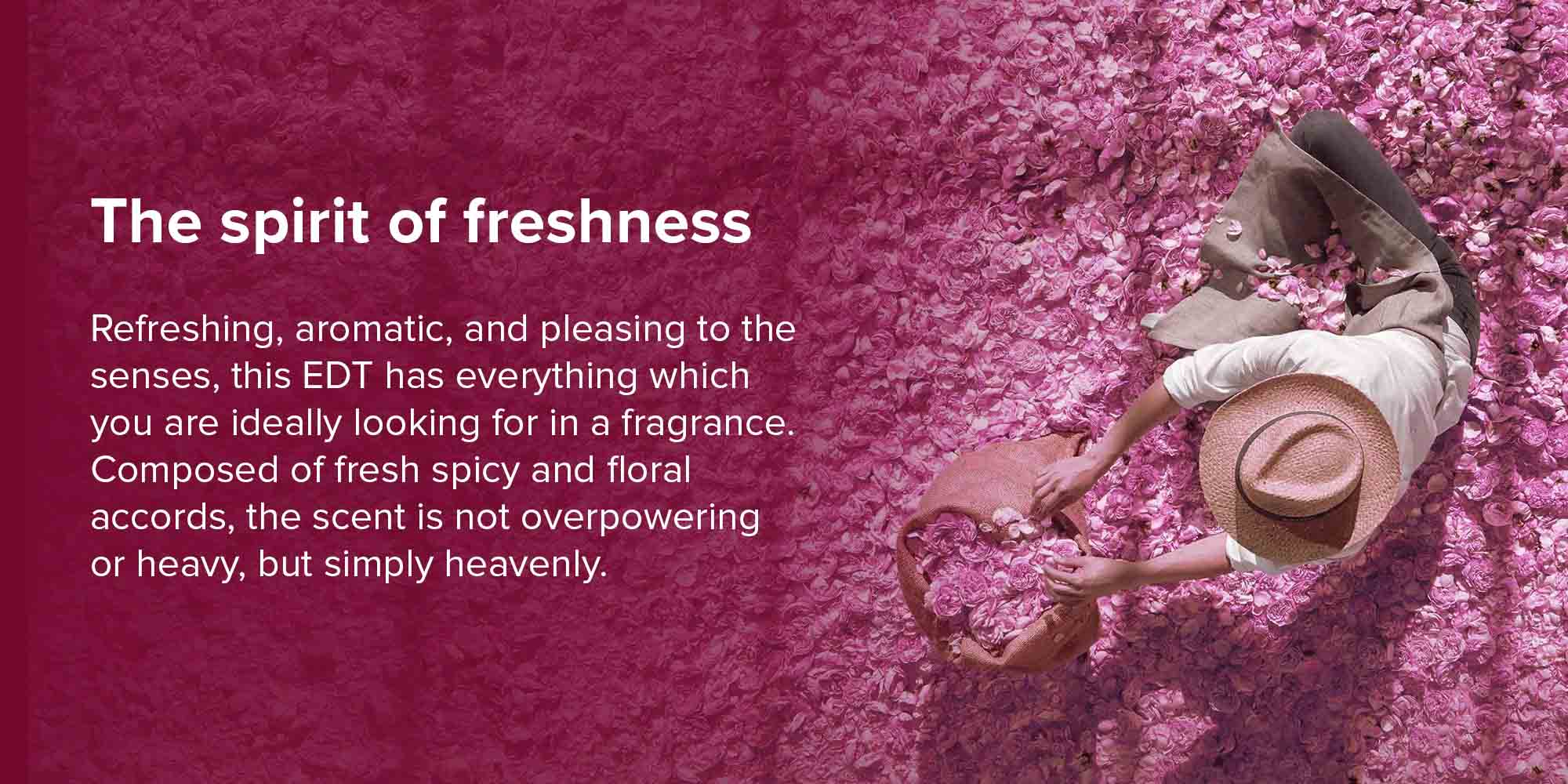 Miss Dior Rose N Roses EDT 100ml