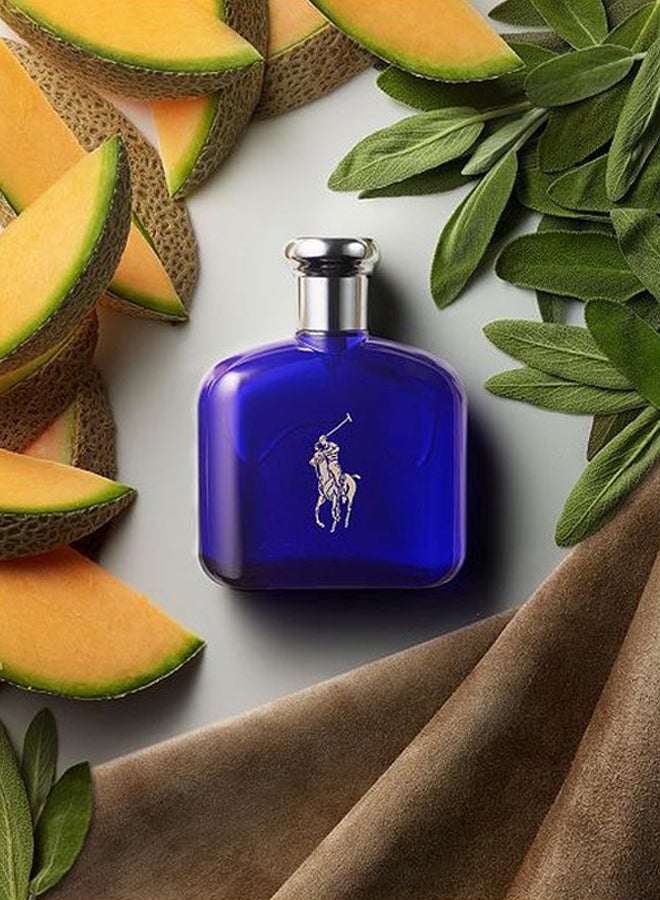 Polo Blue EDT 75ml