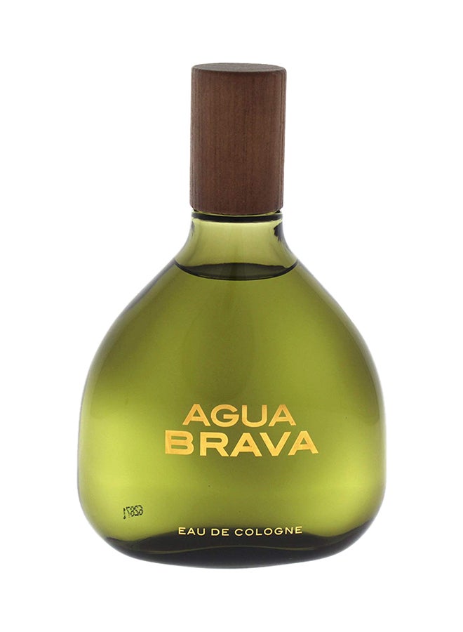 Agua Brava EDC