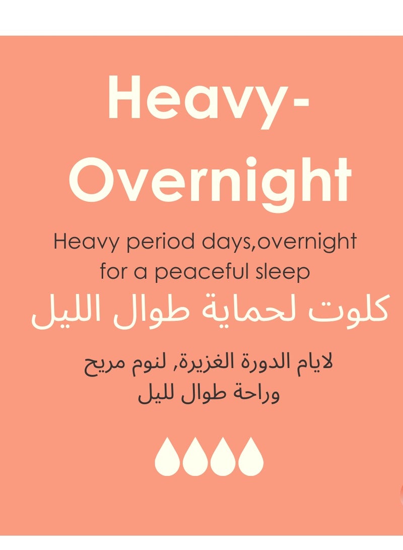 Classic Bikini - Heavy-Overnight Absorbency - Period Protection Underwear for Women