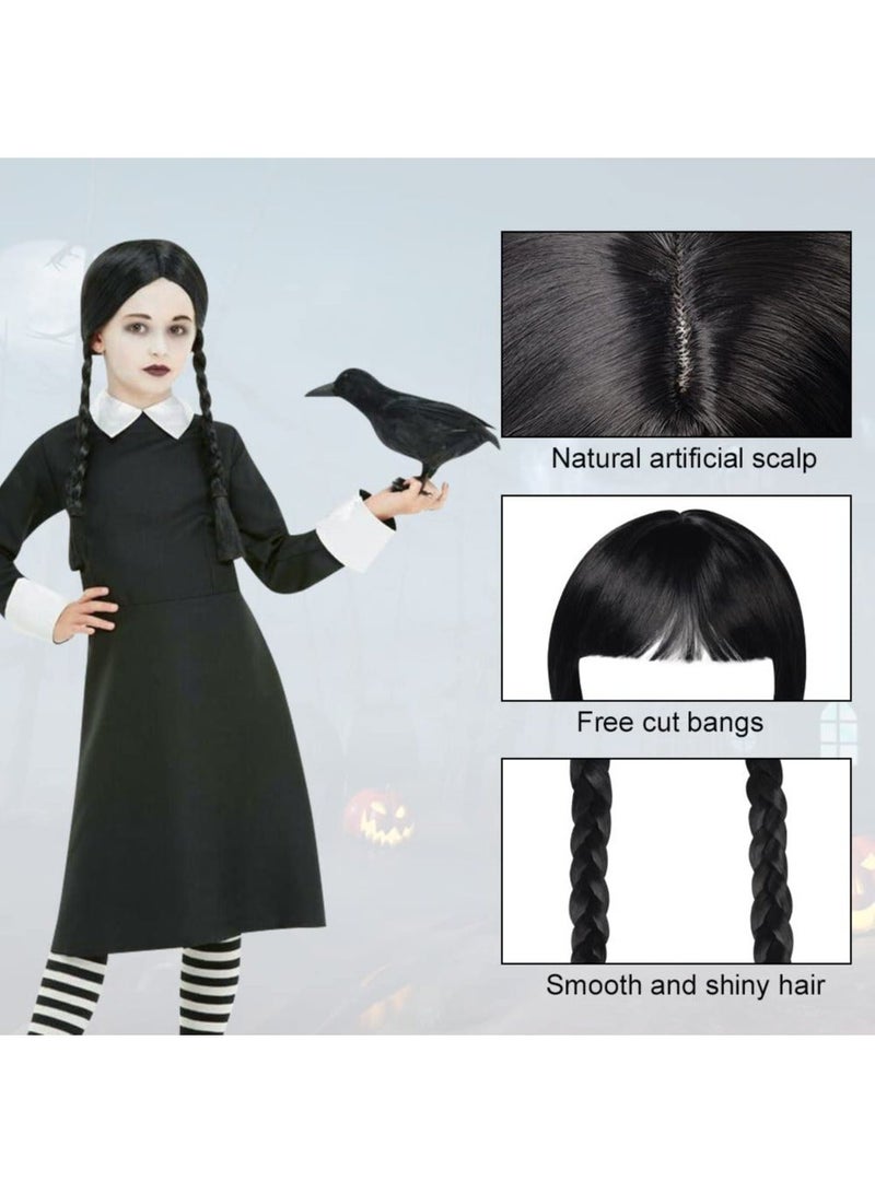 Long Plaited Wig With Bang Fringe for Women Ladies Synthetic Full Hair Natural Black Brunette with Bangs Cosplay Costume or Daily Life