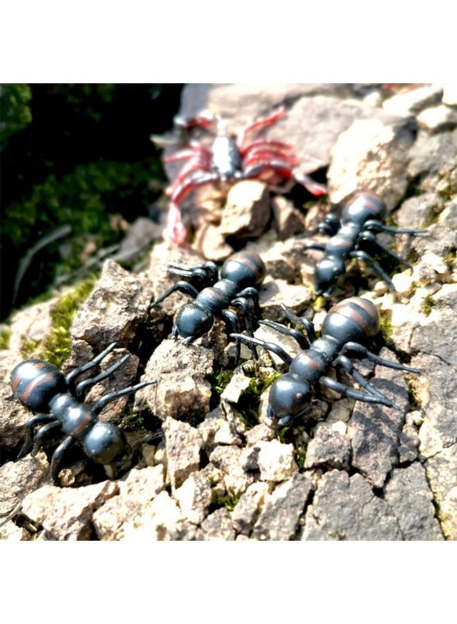 20Pcs Fake Big Ant Giantants Queen Black Plastic Mock Reptile Insects Joke Toys Prank Scary Trick Tricky Brains For Halloween Party