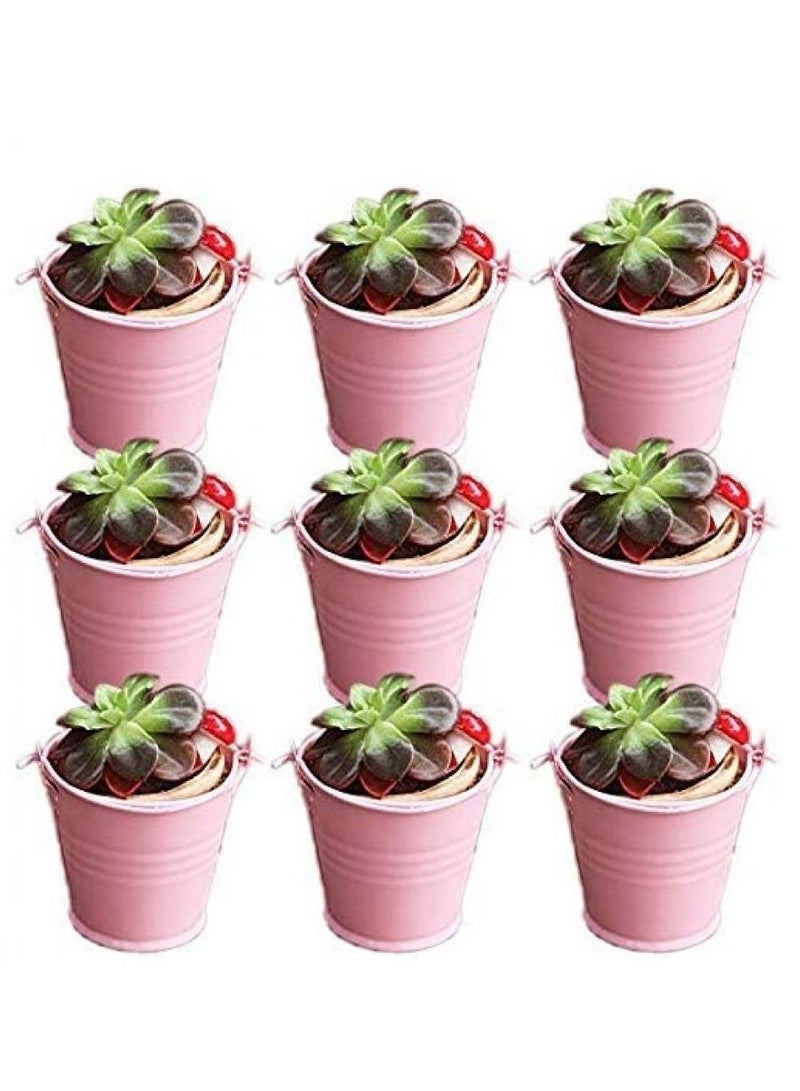 Multipurpose 30 Pack Pink Mini Metal Bucket Tin With Sheer Bag Candy Box Buckets Souvenirs Gift Pails for Wedding Favor Party Favor Baby Shower Favor