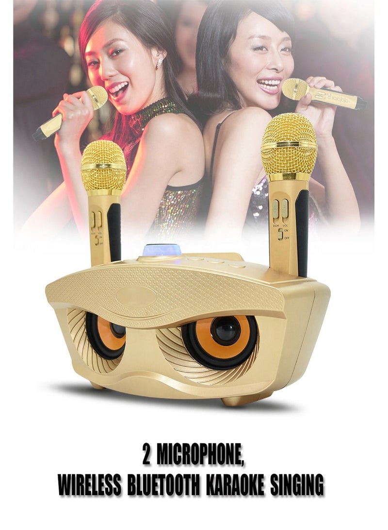 SD306 Dual Wireless Microphone Bluetooth Stereo Speaker Set USB TF CARD AUX Gold