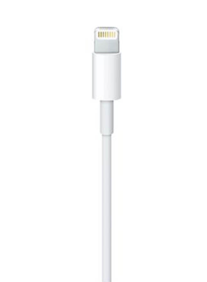 EarPods With Lightning Connector White