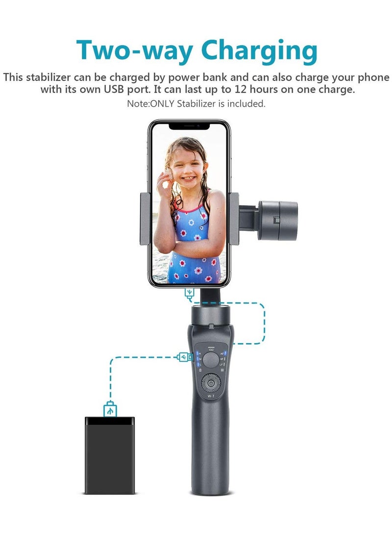 Three Axis Handheld Gimbal Stabilizer & LED Adjustable Night Fill Light and Lightning Zoom Face Tracking Time Lapse Portable PTZ Stabilizer Panorama Mode Sports Camera for Phone