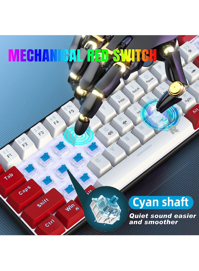 61keys Wired 60% Mechanical Gaming Keyboard Blue Switch Full Anti-ghosting Portable Mini Keyboard for Windows Laptop PC Mac