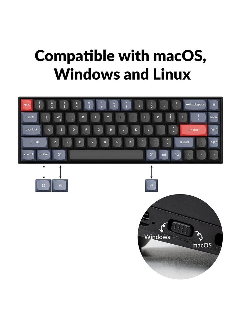 K6 Pro Wireless Custom Mechanical Keyboard, QMK/VIA Programmable Macro, Hot-Swappable Keychron K Pro Blue Switch Keyboard, 65% Layout RGB Backlit Office Keyboard for Mac Windows Linux