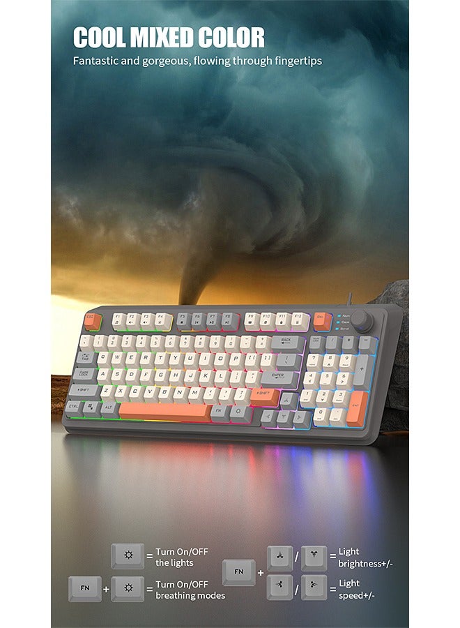 94-Key Wired Keyboard, Membrane Keyboard, Gaming Keyboard, Office Keyboard, Built-in Volume Adjustment Knob, RGB Light Effect, Computer Keyboard