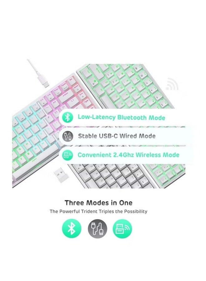 RK84 Wireless Bluetooth/2.4Ghz 80% RGB Mechanical Gaming Keyboard, Three Modes Connectable Keyboard with Hot-Swappable Tactile Blue Switch