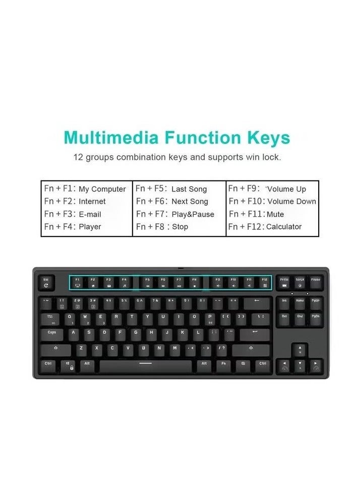 RK987 Mechanical Keyboard 87 Keys White LED Backlight Tenkeyless Gaming Keyboard, Wired/Wireless Bluetooth Gaming/Office for iOS Android Windows MacOS and Linux