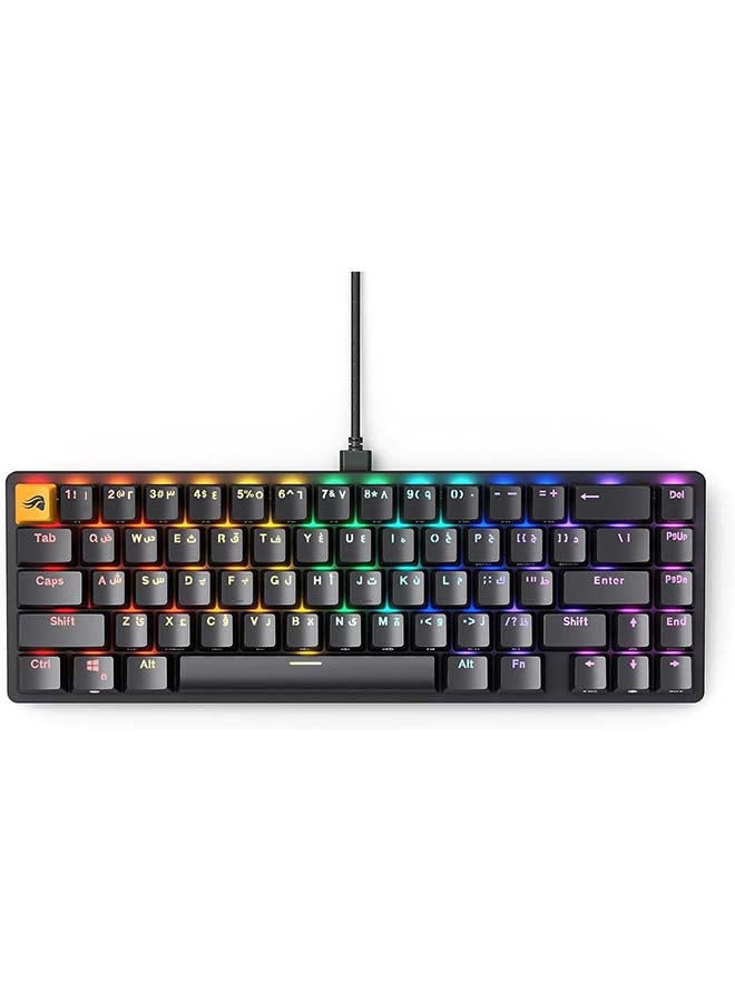 Glorious GMMK 2 65% Arabic & English RGB Gaming Keyboard - TKL Hot Swappable Mechanical Keyboard, Linear Switches, Wired, TKL Gaming Keyboard, Compact Keyboard - Black RGB Keyboard