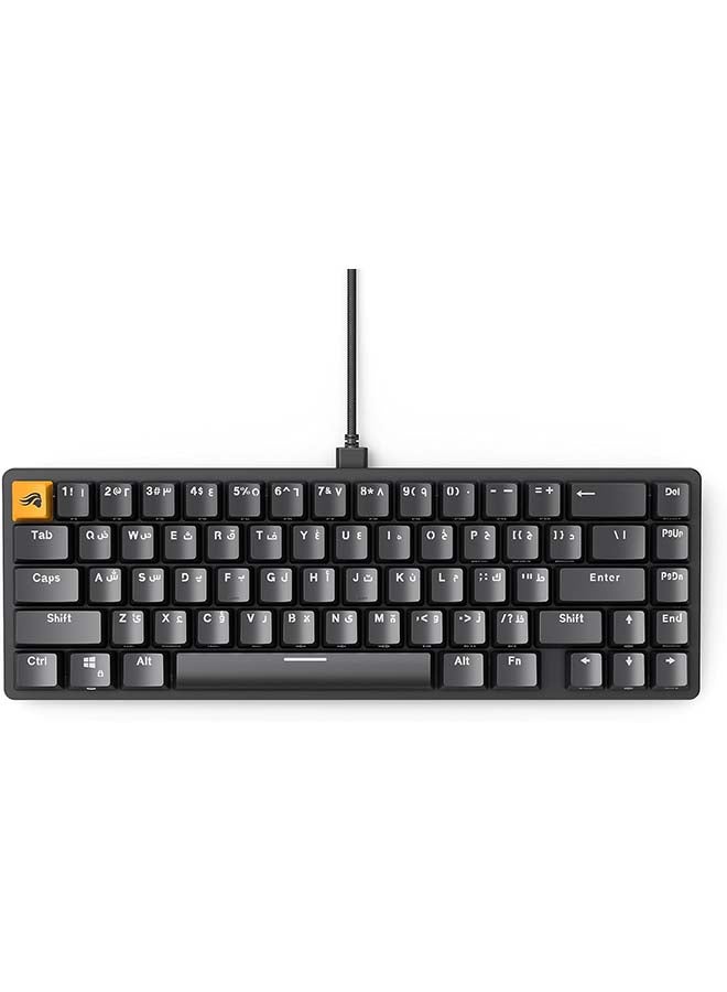 Glorious GMMK 2 65% Arabic & English RGB Gaming Keyboard - TKL Hot Swappable Mechanical Keyboard, Linear Switches, Wired, TKL Gaming Keyboard, Compact Keyboard - Black RGB Keyboard