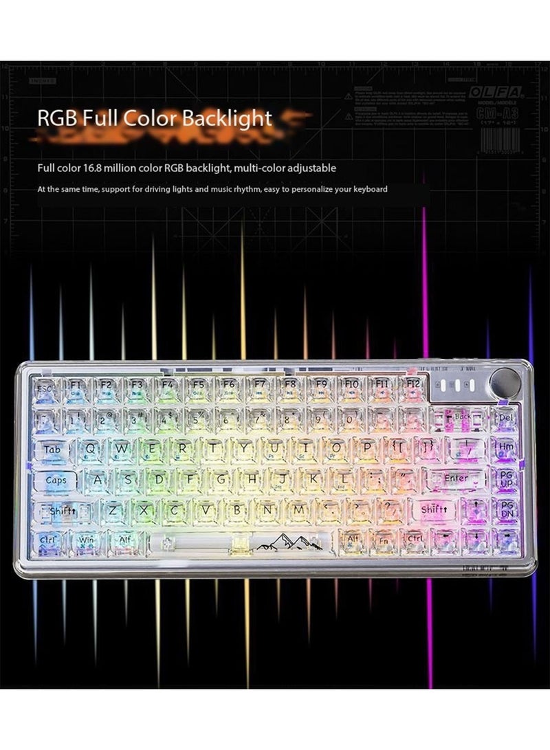 Bluetooth Wireless Keyboard Transparent RGB Mechanical Dual Mode Rechargeable USB Computer Programmable Keys Gaming Keyboard