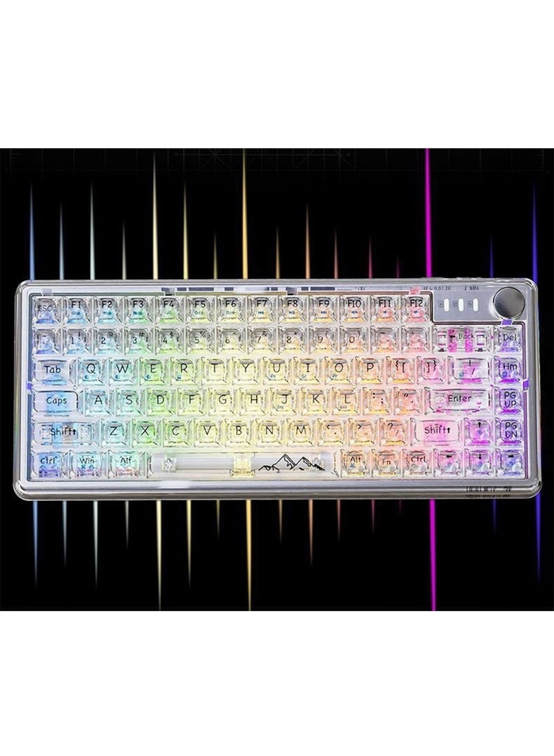 Bluetooth Wireless Keyboard Transparent RGB Mechanical Dual Mode Rechargeable USB Computer Programmable Keys Gaming Keyboard