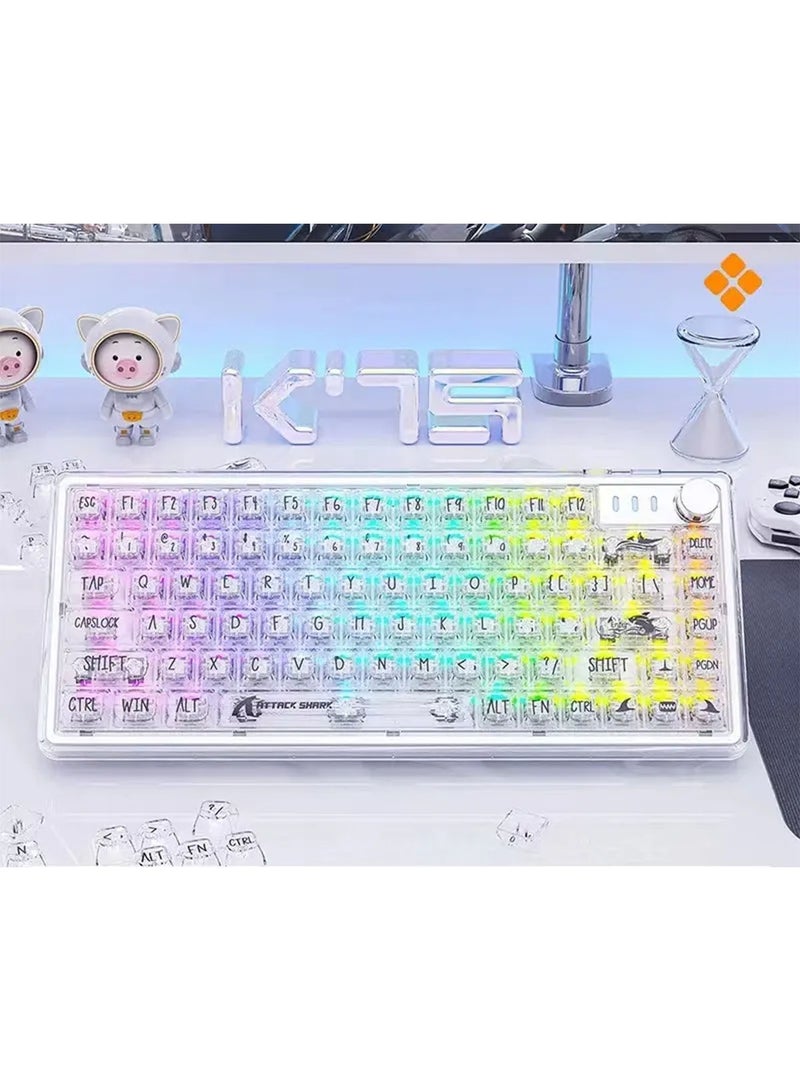 Bluetooth Wireless Keyboard Transparent RGB Mechanical Dual Mode Rechargeable USB Computer Programmable Keys Gaming Keyboard