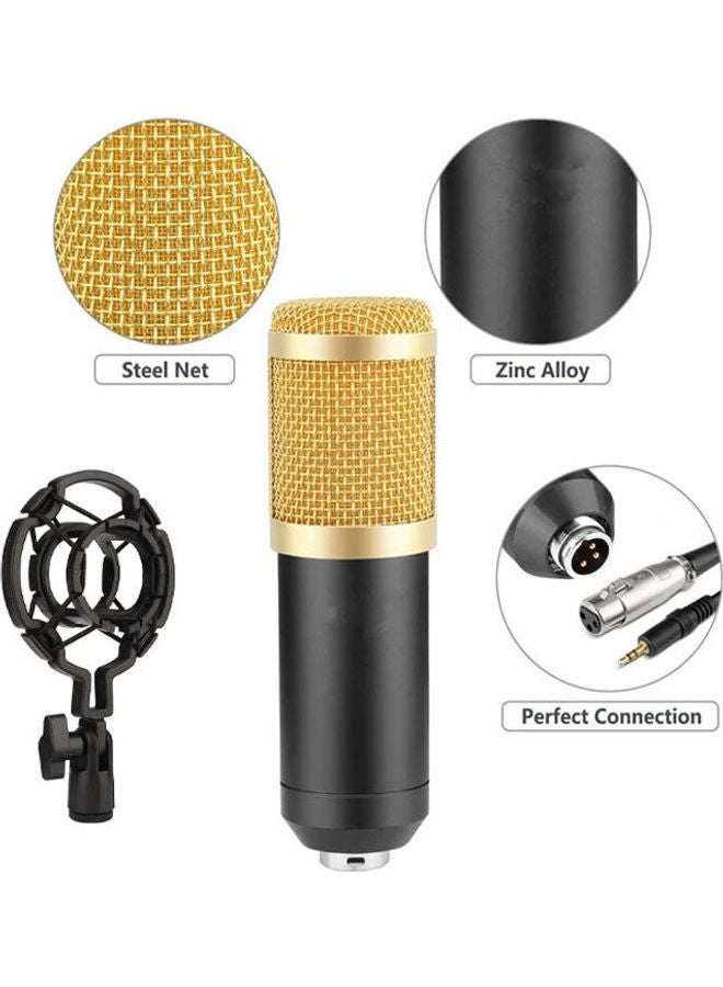 Professional Condenser Microphone 3.5mm jack With Shock Mount Golden