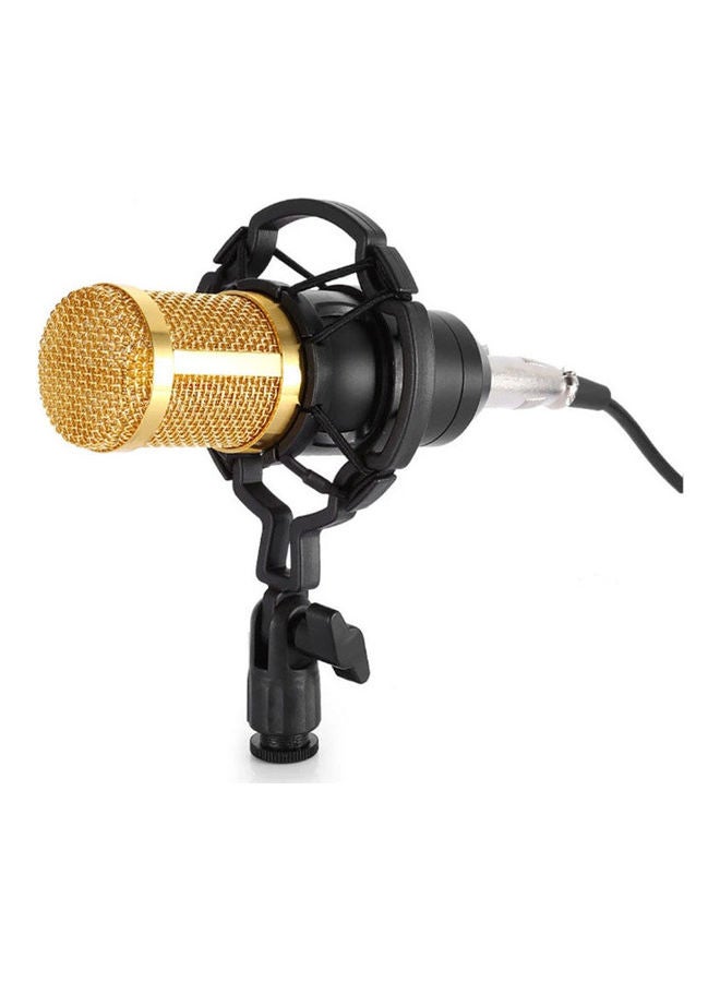 Professional Condenser Microphone 3.5mm jack With Shock Mount Golden