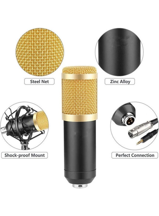 Professional Condenser Microphone 3.5mm jack With Shock Mount Golden