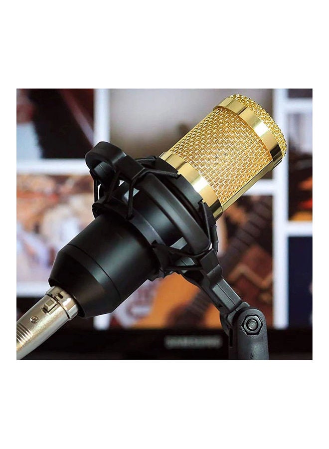 Professional Condenser Microphone 3.5mm jack With Shock Mount Golden