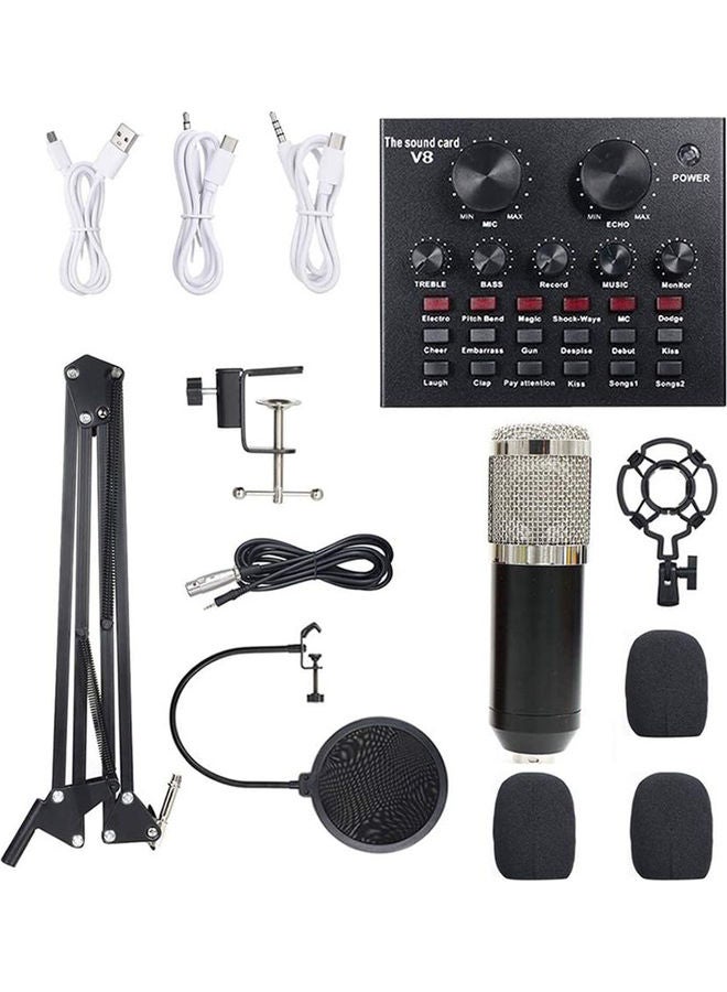 Condenser Microphone Bundle with Live Sound Black/Silver