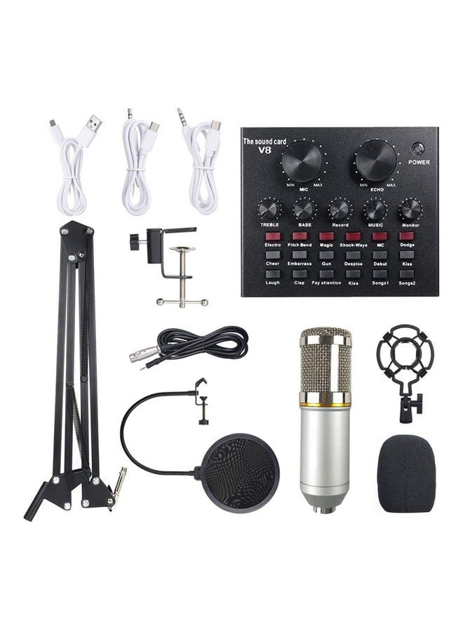 Professional Condenser Microphone Bundle Set Grey