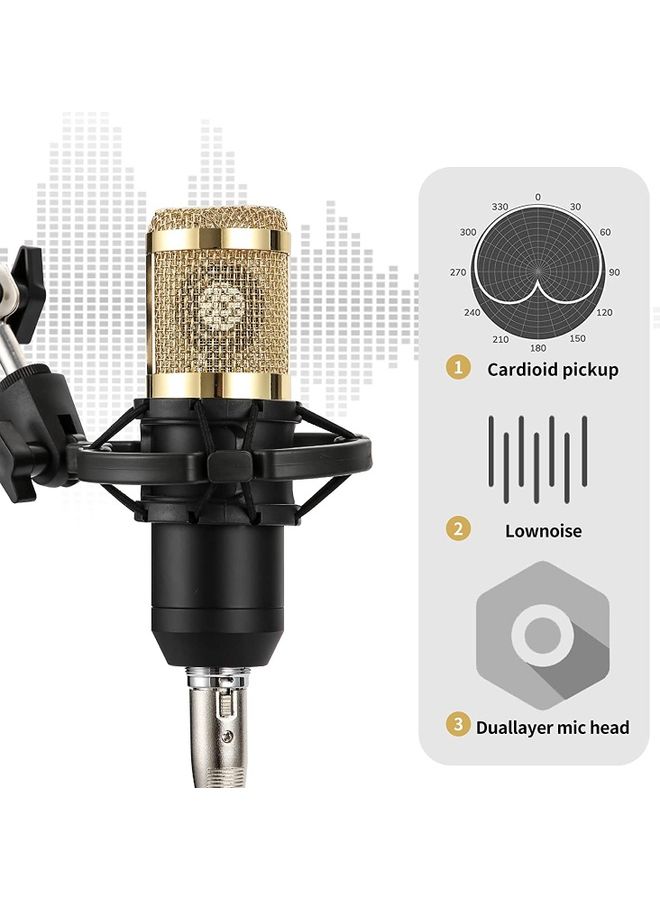 Professional Condenser Microphone With V8S Live Sound Card And Studio Recording Broadcasting Set Black/Gold