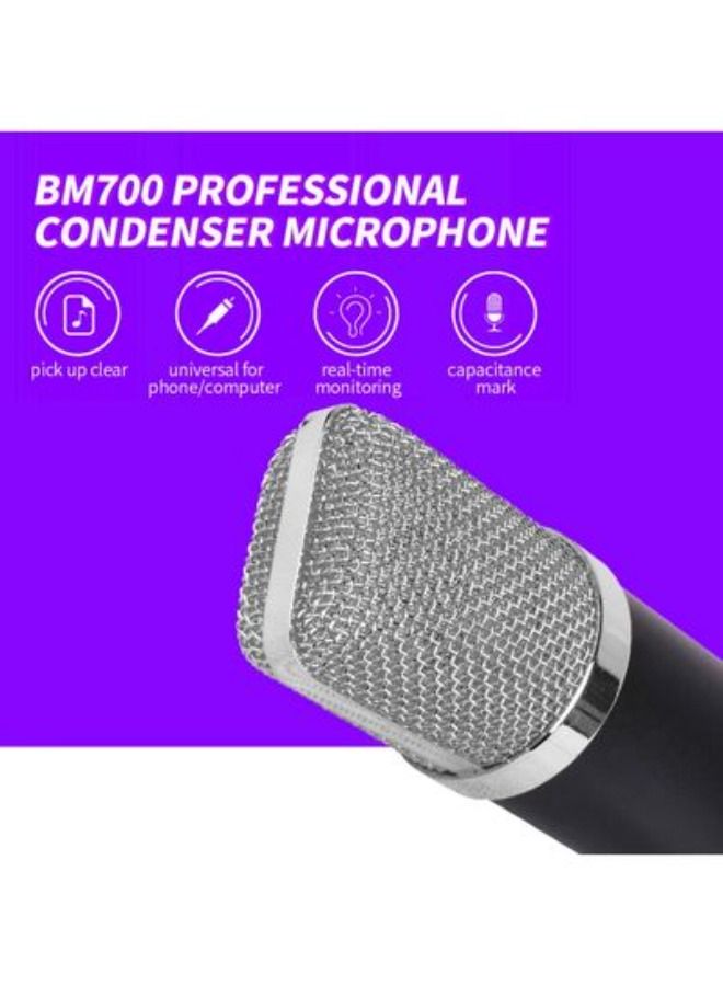 Professional Condenser Microphone Sound Recording Kit Black/Silver