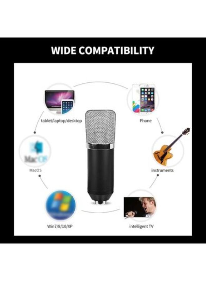 Professional Condenser Microphone Sound Recording Kit Black/Silver