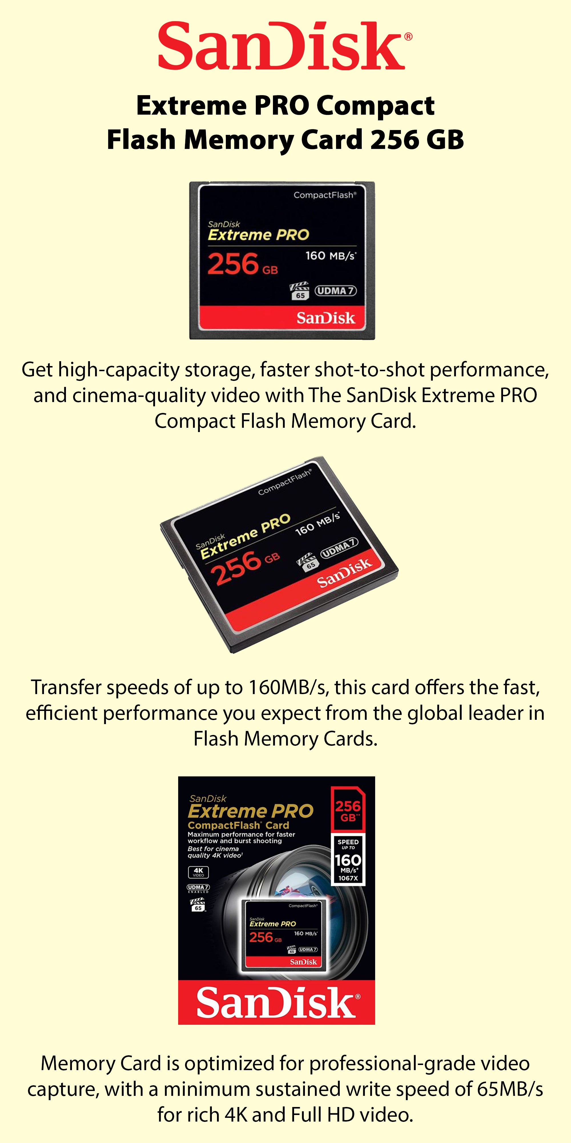 Extreme PRO CF 160MB/s 256 GB VPG 65, UDMA 7 256.0 GB