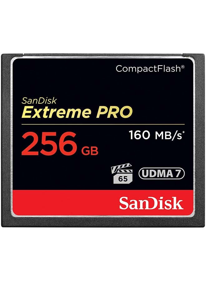 Extreme PRO CF 160MB/s 256 GB VPG 65, UDMA 7 256.0 GB