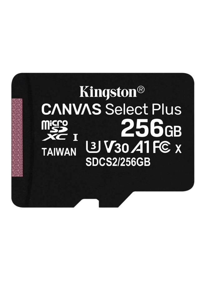 Canvas Select Plus MicroSD UHS-1 Memory Card 256 GB