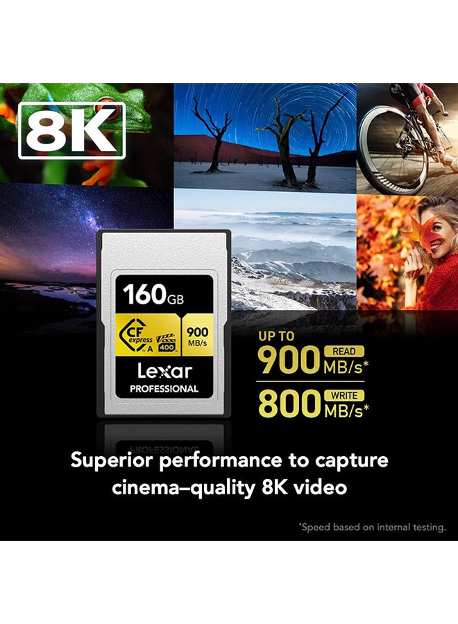 Professional 80GB CFexpress Type A Gold Series Memory Card, Up to 900MB/s Read, Cinema-Quality 8K Video, Rated VPG 400 (LCAGOLD080G-RNENG) 80 GB