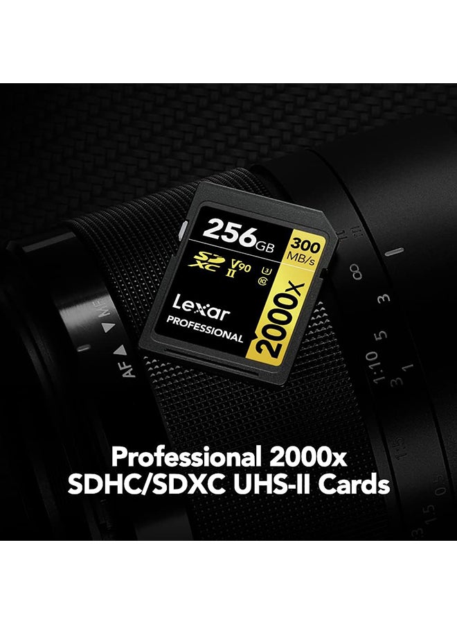 Professional 2000x SDHC UHS-II cards, up to 300MB/s read 260MB/s write C10 V90 U3 256 GB