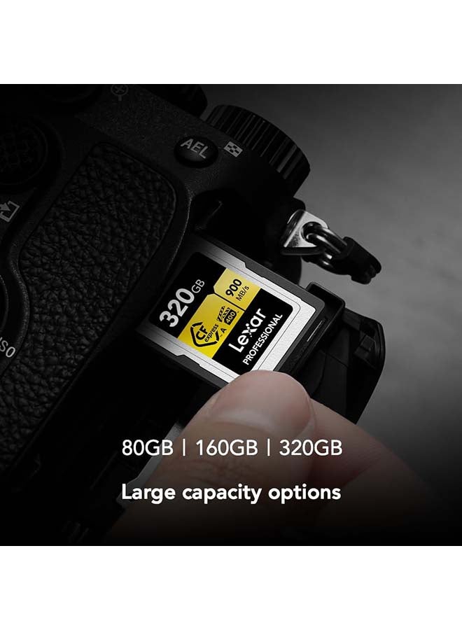 Professional 160GB CFexpress Type A Gold Series Memory Card, Up to 900MB/s Read, Cinema-Quality 8K Video, Rated VPG 400 (LCAGOLD160G-RNENG) 160 GB