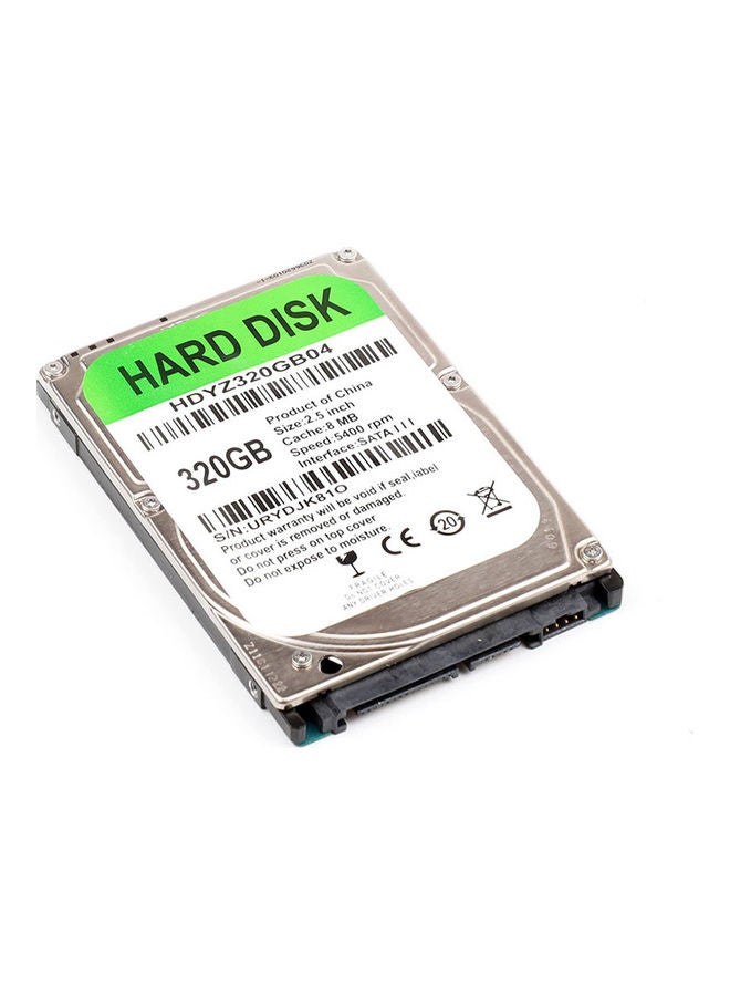 Hard Disk Silver