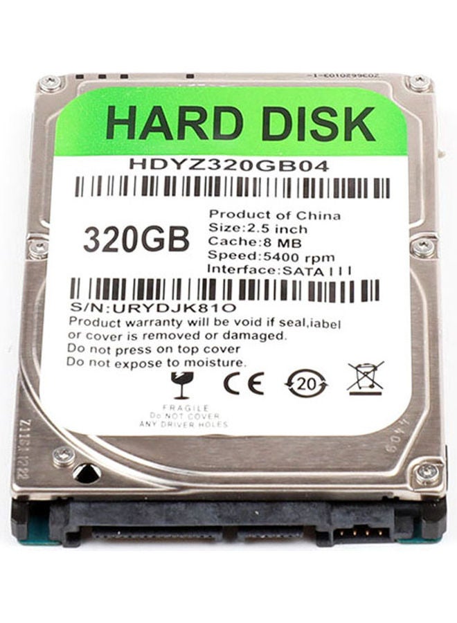 Hard Disk Silver