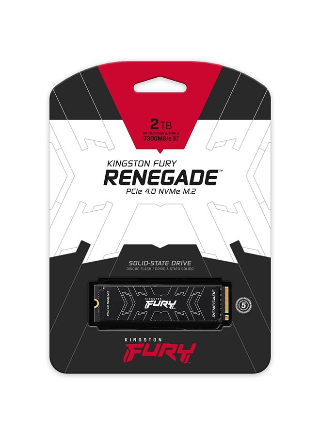 Fury Renegade 2000G (2TB) Internal Gaming SSD, PCIe Gen 4.0 NVMe, M.2 2280, Up to 7300 MB/s, 7000MB/s Write, TLC Nand, Double Sided 2 TB