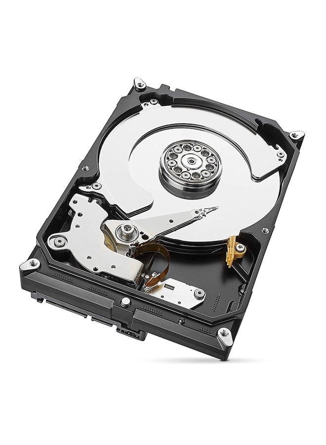 SkyHawk Internal Surveillance Hard Drive 4.0 TB