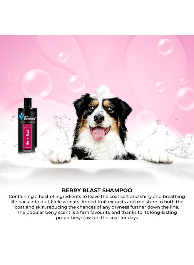 Berry Blast Shampoo - 450ML