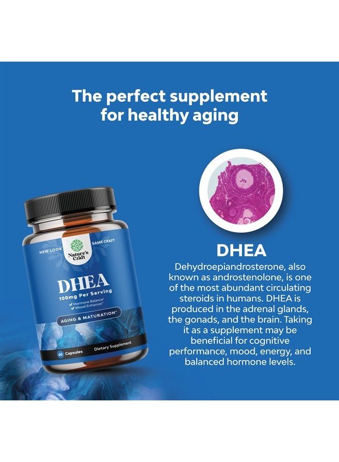 Pure DHEA Supplement for Women and Men - DHEA 100mg Thyroid Support for Women Health Immune Support Bone Health and Mood Support Supplement - DHEA for Women Energy Supplement and Wellness Supplement