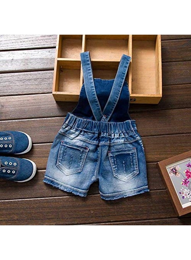 2-8Years Little&Big Summer 2pcs Clothing Set Flower Pink Short Sleeve T Shirt and Denim Rompers Shortalls (5Years)