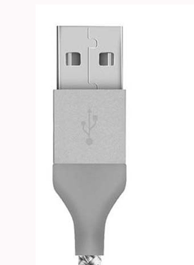 LinkMate-LTF Data Sync Charging Cable Silver